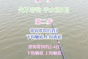 钓鱼技巧及方法;钓鱼技巧及方法 去钩