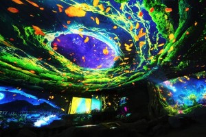 深圳野生动物园介绍、深圳野生动物园特价49元