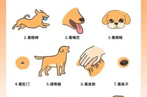 造梦西游3唐僧适合哪个宠物(造梦西游3唐僧用什么饰品好)