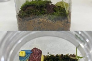 饥荒格罗姆怎么养;饥荒格罗姆怎么驯服