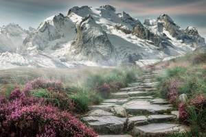 变形金刚第二部叫什么;《变形金刚2》剧情