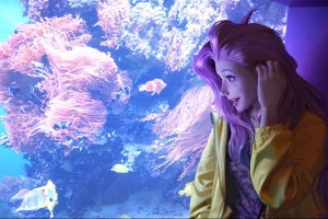 生化危机7叫什么,生化危机叫什么市