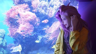 生化危机7叫什么,生化危机叫什么市