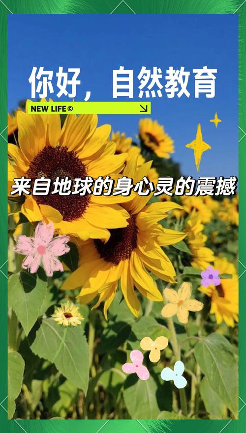 钓鱼的人是一种什么心态、爱钓鱼的男人心理分析 - 888游戏网