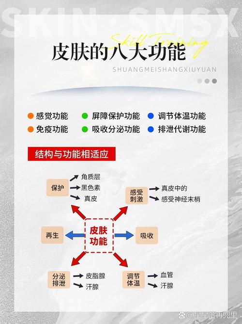 绝地求生皮肤怎么切换-绝地求生游戏中如何换皮肤 - 888游戏网