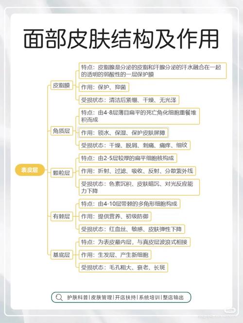 绝地求生皮肤怎么切换-绝地求生游戏中如何换皮肤 - 888游戏网