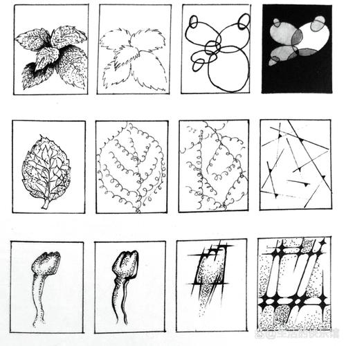 鼠标为什么叫鼠标(鼠标为什么叫鼠标不叫猫标狗标) - 888游戏网