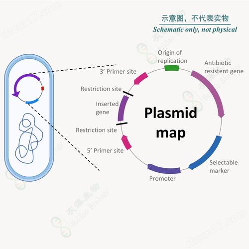 仙剑奇侠传单机游戏在哪里(仙剑奇侠传单机端游) - 888游戏网