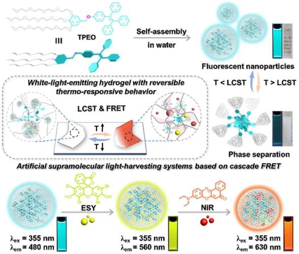 孢子250的生物怎么找;孢子怎么获得dna - 888游戏网