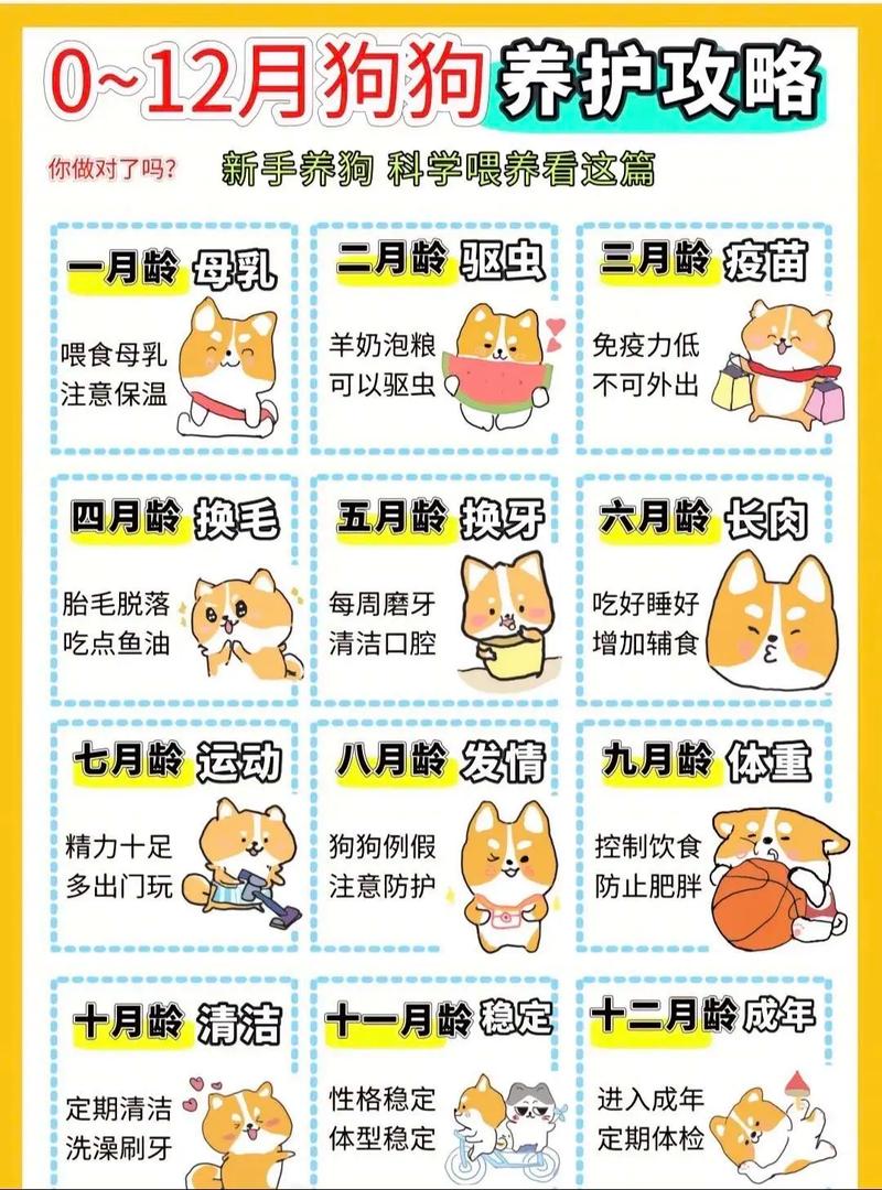 洛克王国破梦者怎么得-洛克王国破梦境宠物 - 888游戏网