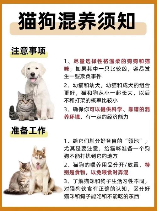 洛克王国破梦者怎么得-洛克王国破梦境宠物 - 888游戏网