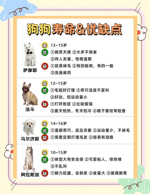 造梦西游3唐僧适合哪个宠物(造梦西游3唐僧用什么饰品好) - 888游戏网