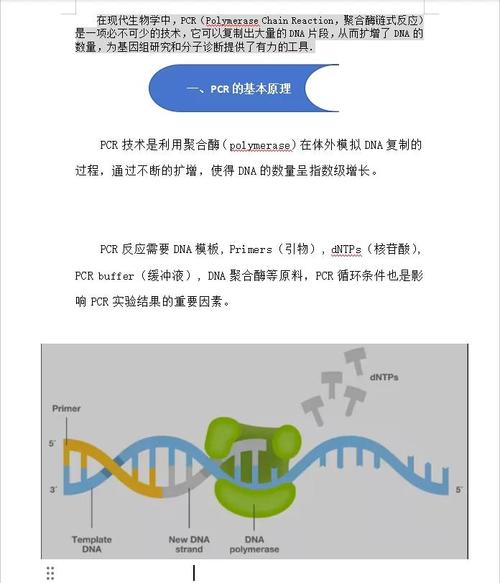 黑道圣徒3优化好吗、黑道圣徒3好玩儿吗 - 888游戏网