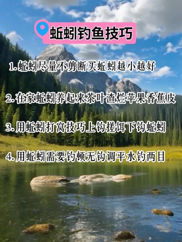 新鲜的红腮鱼在哪钓-新鲜的红腮鱼烹饪图纸 - 888游戏网